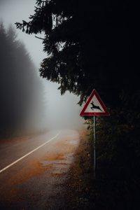 photo-of-a-deer-crossing-sign