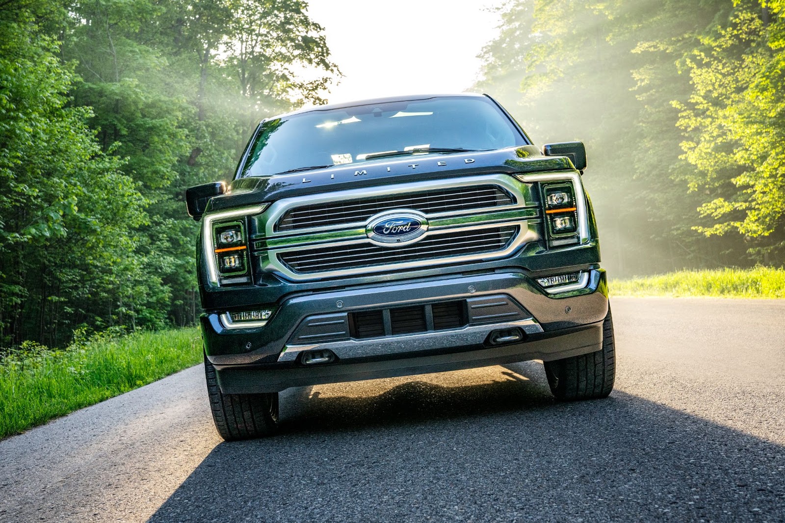 Ford F-150 Driving Down a Road with a view of the grill