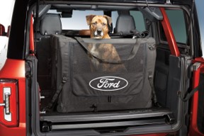A dog sitting in the back of a car