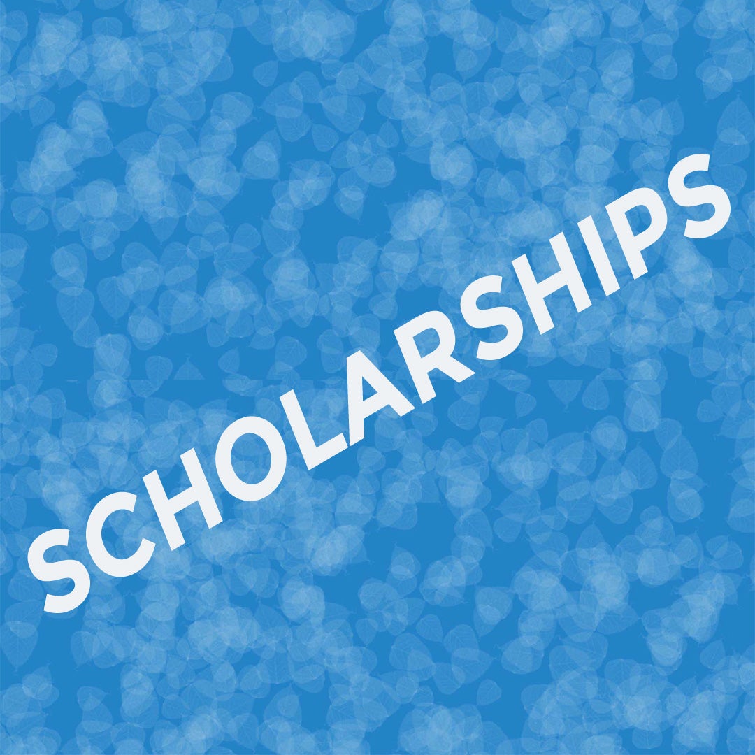 The word scholarship with a blue background with white leaves all over.